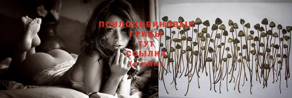 бошки Заводоуковск