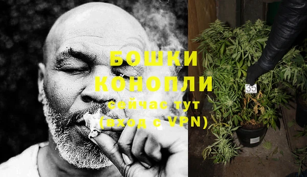бошки Заводоуковск