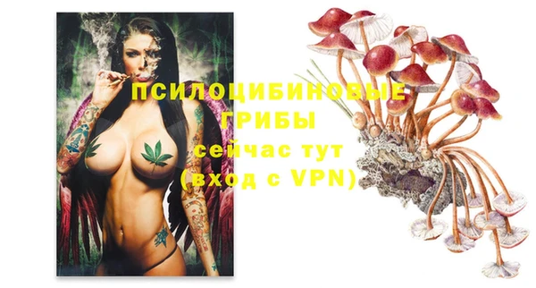 крисы Заволжье
