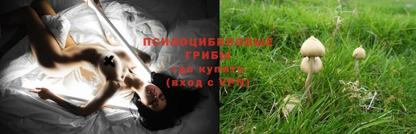 крисы Заволжье